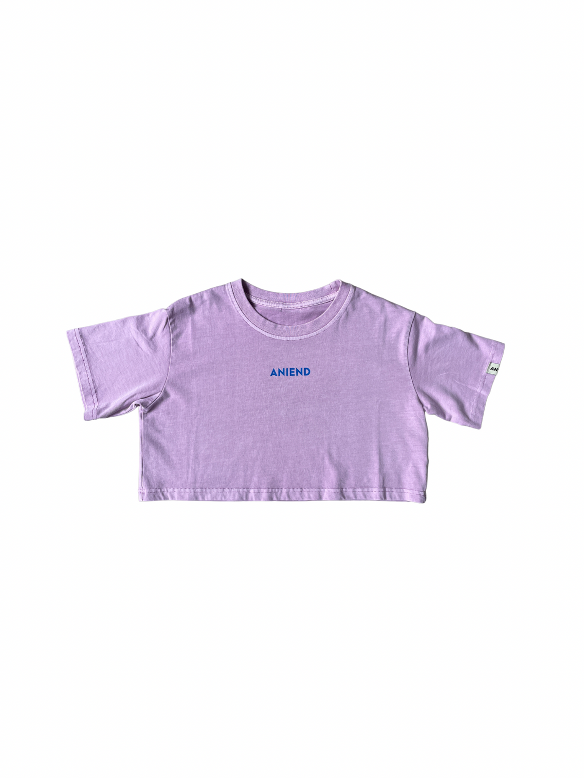 Logo pigment short tee(PURPLE)