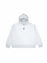 ANEIND original logo hoodie（ICE GRAY）